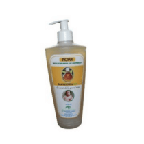 Huile de palmiste – Nona – 330ml