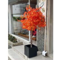Plantes d'Erable Décoratifs + Pots de Fleurs pour Plantes