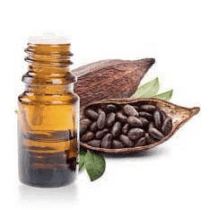 L'Huile de Cacao - 60ml