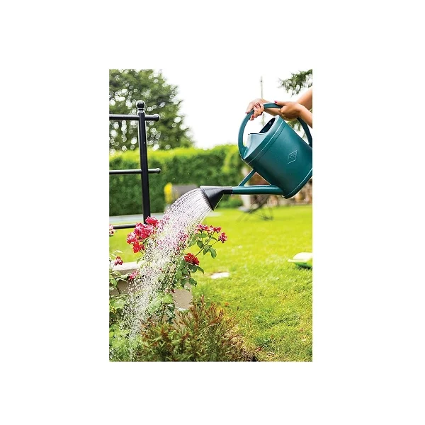 Arrosoir plastique de 11 litres arrosant des fleurs dans un jardin